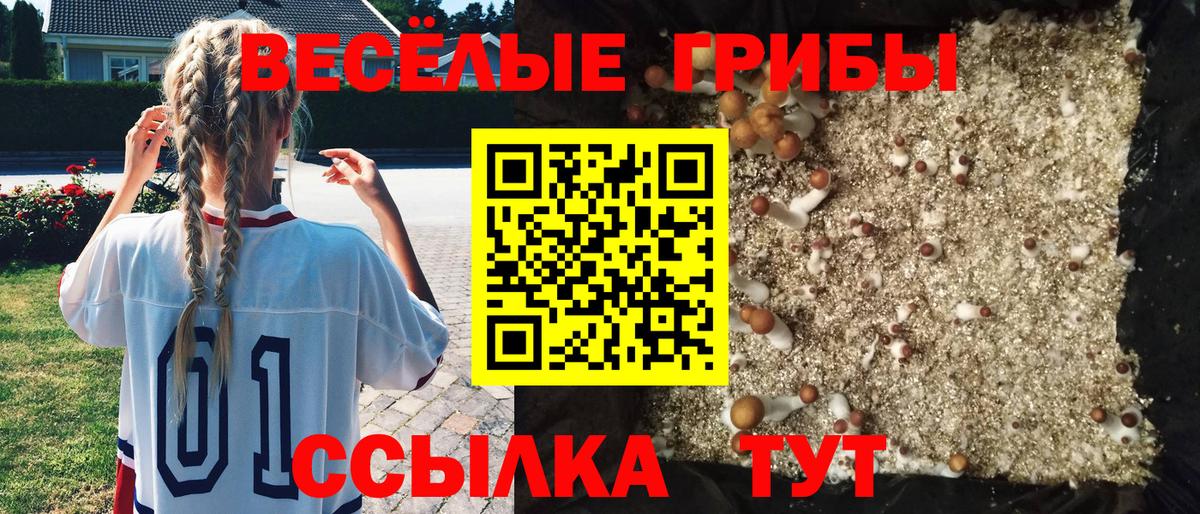 Казань  Галлюциногенные грибы ЛСД  Вход с VPN  Псилоцибиновые грибы Magic Shrooms 