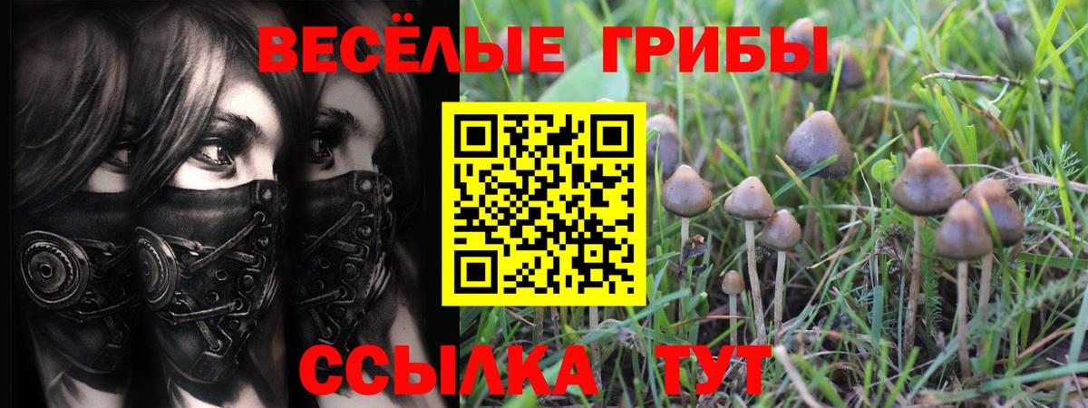 Галлюциногенные грибы прущие грибы Казань